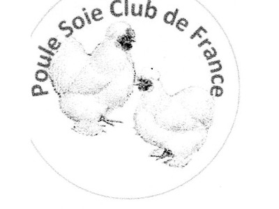 Poule Soie Club de France