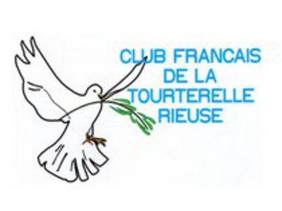Club français de la tourterelle rieuse